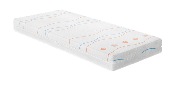 Matras TeamNL 80 x 210 cm